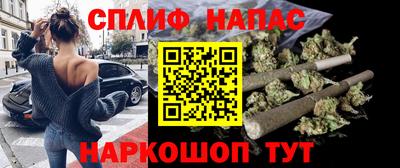 дмт Аша