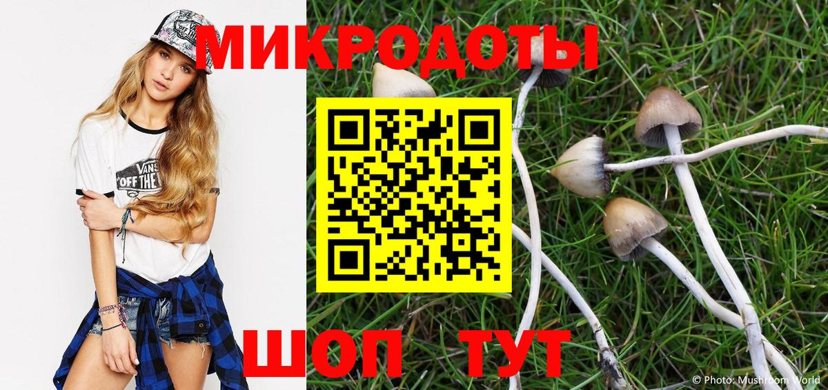Галлюциногенные грибы MAGIC MUSHROOMS  Псилоцибиновые грибы мицелий  Губаха  Вход с VPN 