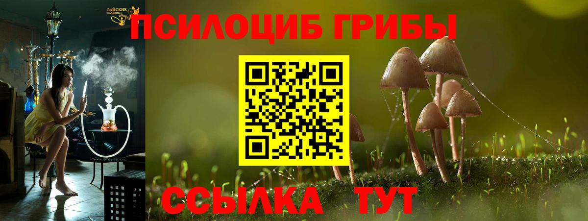 Галлюциногенные грибы мицелий Губаха